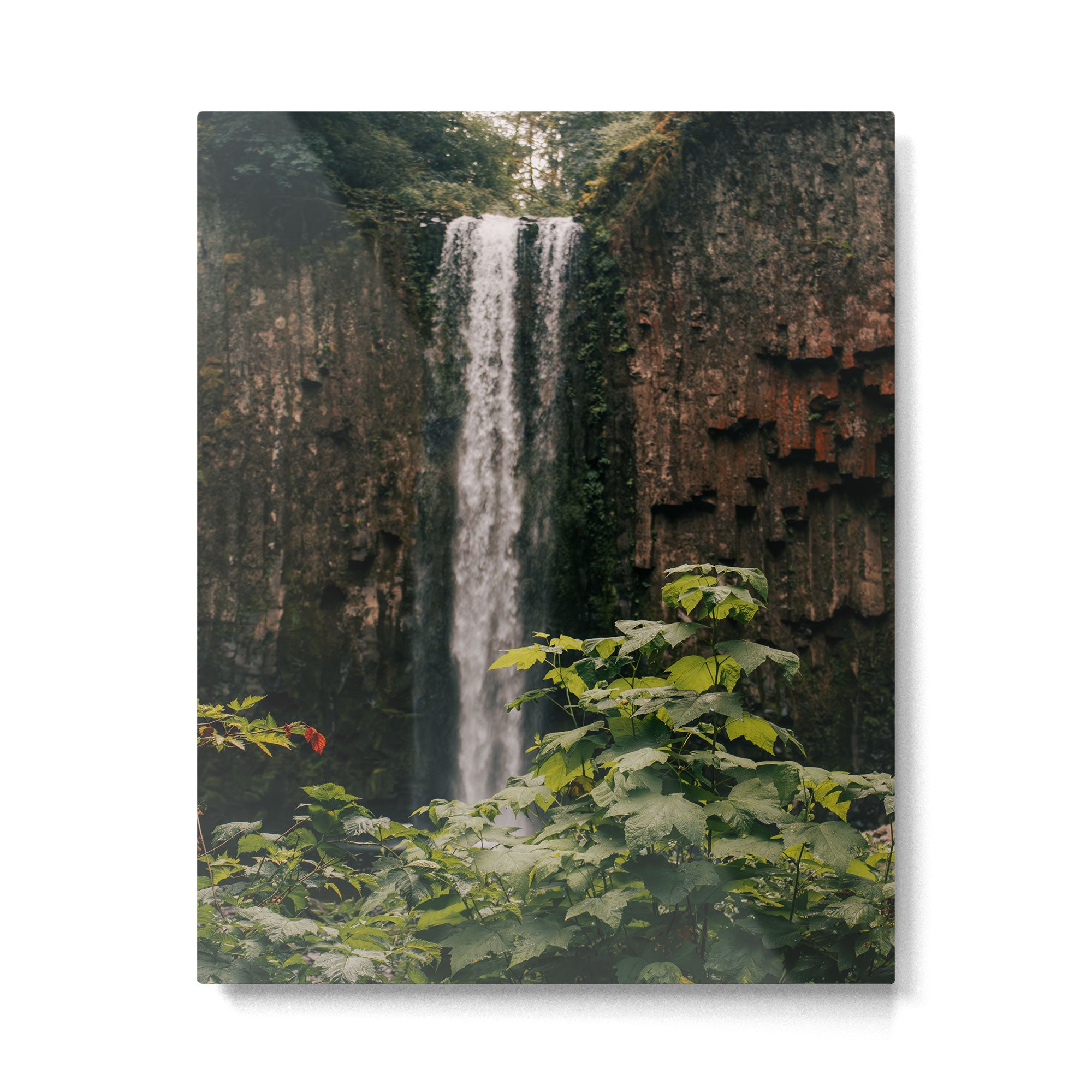 Abiqua Falls Metal Print Gallery Image 4