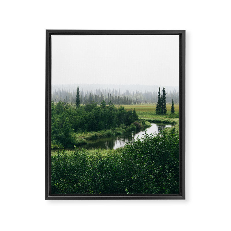 Alaska Interior Framed Canvas Print Gallery Image 6
