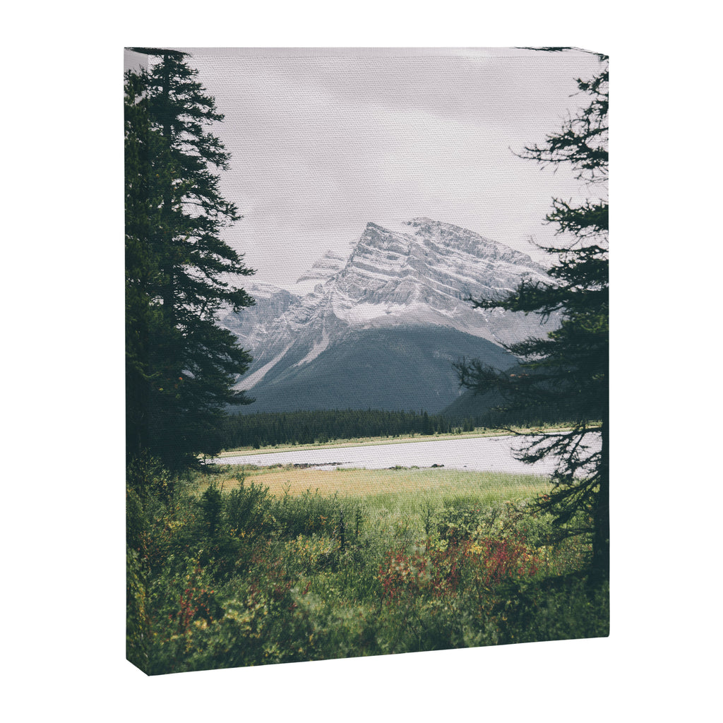 Alberta Canvas Print Gallery Image 6
