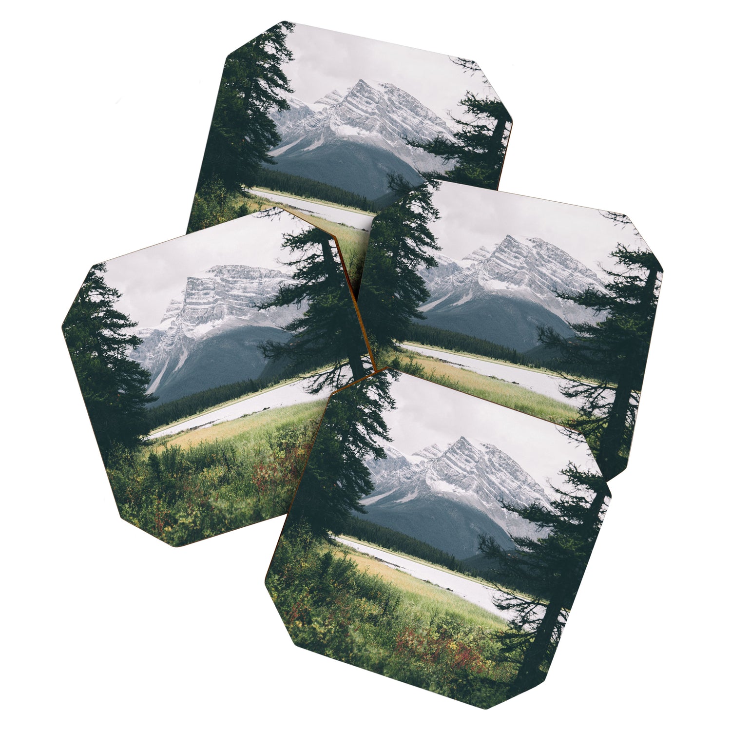 Alberta Coaster Gallery Image 1
