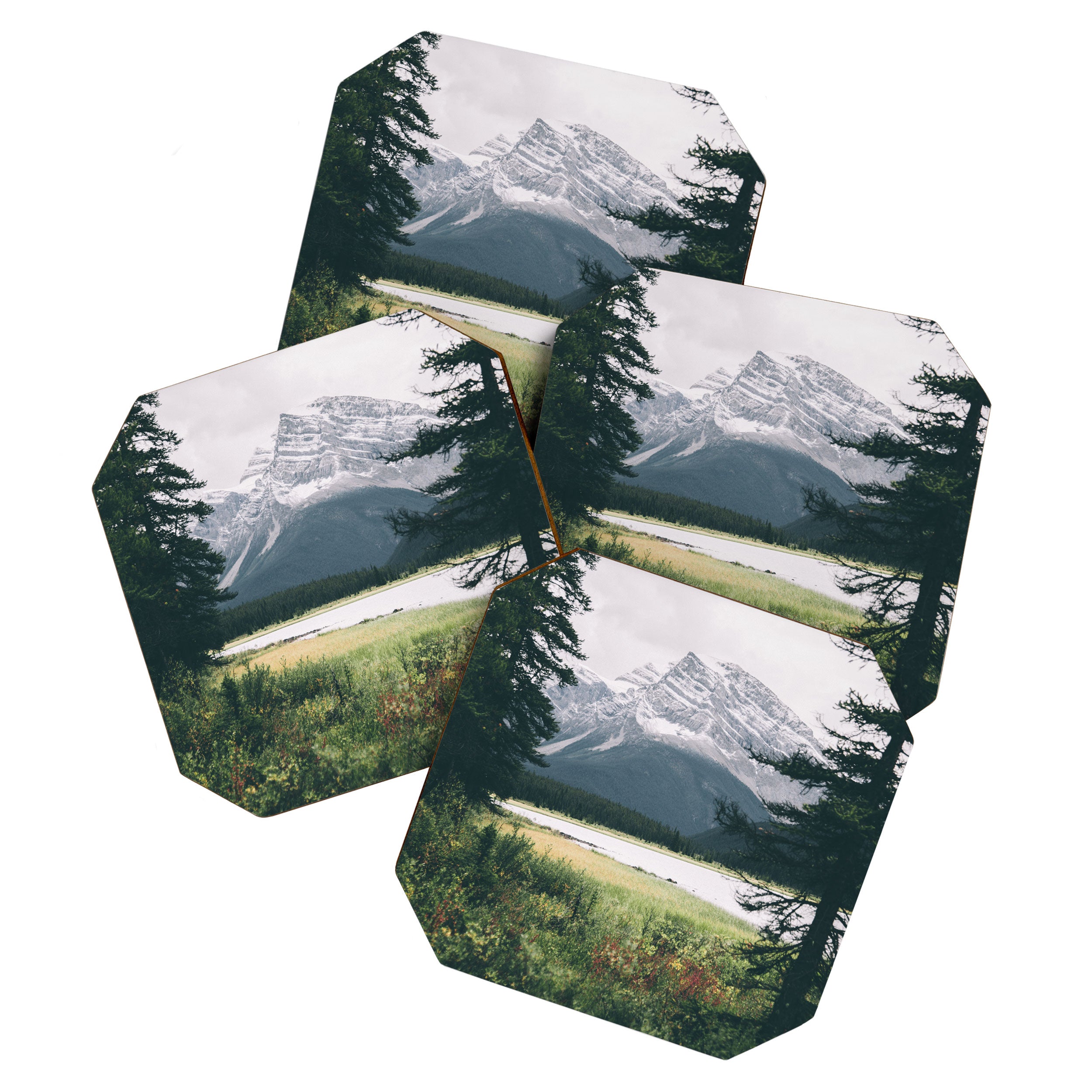 Alberta Coaster Gallery Image 1