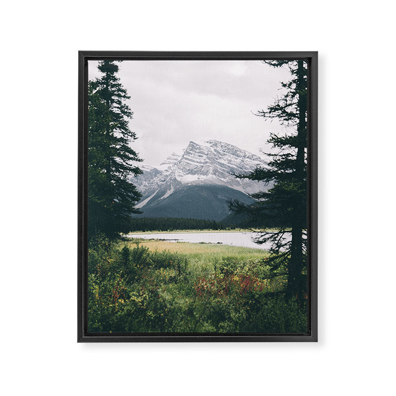 Alberta Framed Canvas Print Gallery Image 6
