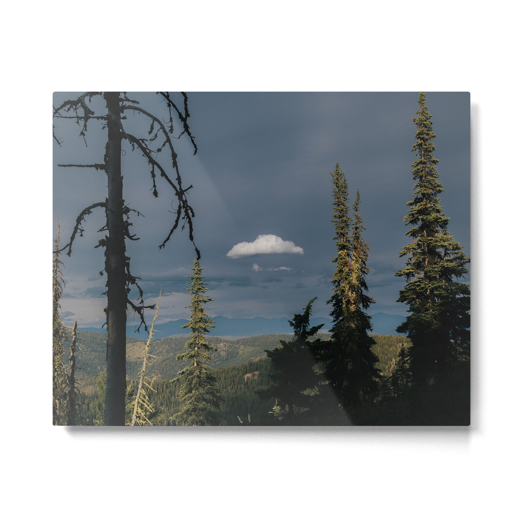 Alone II Metal Print Gallery Image 4
