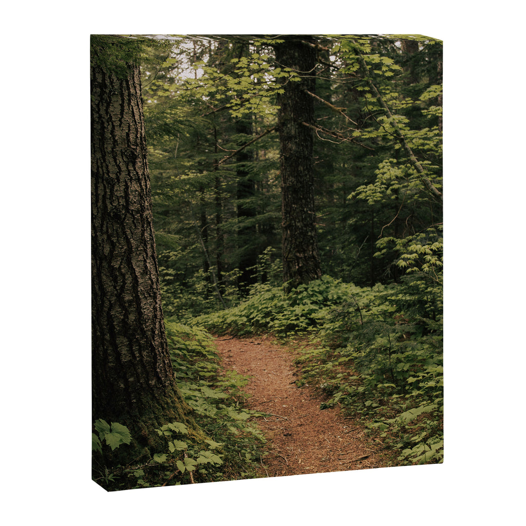 An Oregon Trail Canvas Print Gallery Image 6