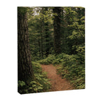 An Oregon Trail Canvas Print Gallery Image 6