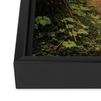 An Oregon Trail Framed Canvas Print Gallery Image 3
