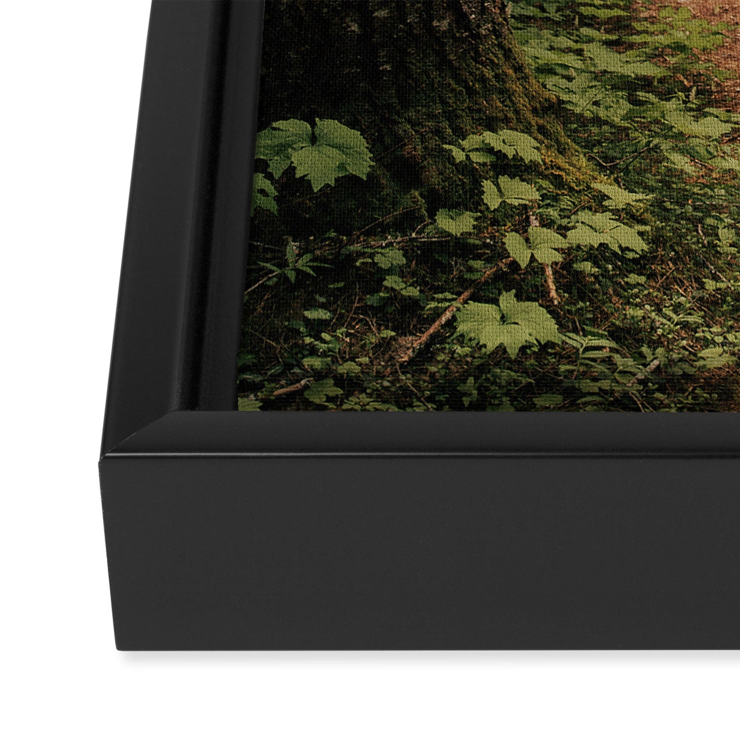An Oregon Trail Framed Canvas Print Gallery Image 3