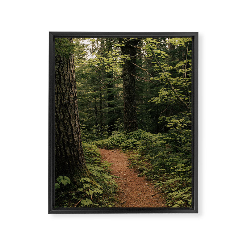 An Oregon Trail Framed Canvas Print Gallery Image 6