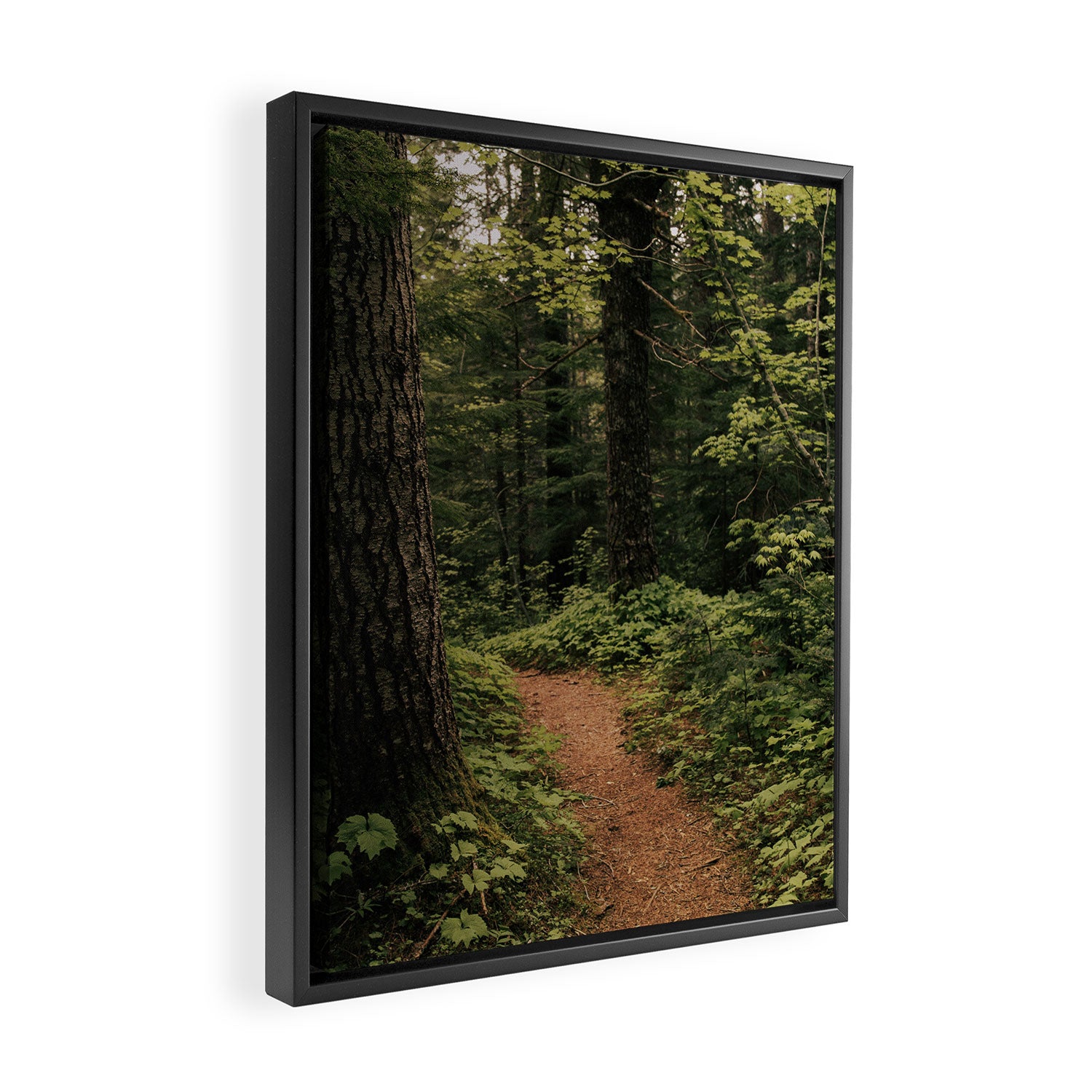 An Oregon Trail Framed Canvas Print Gallery Image 2