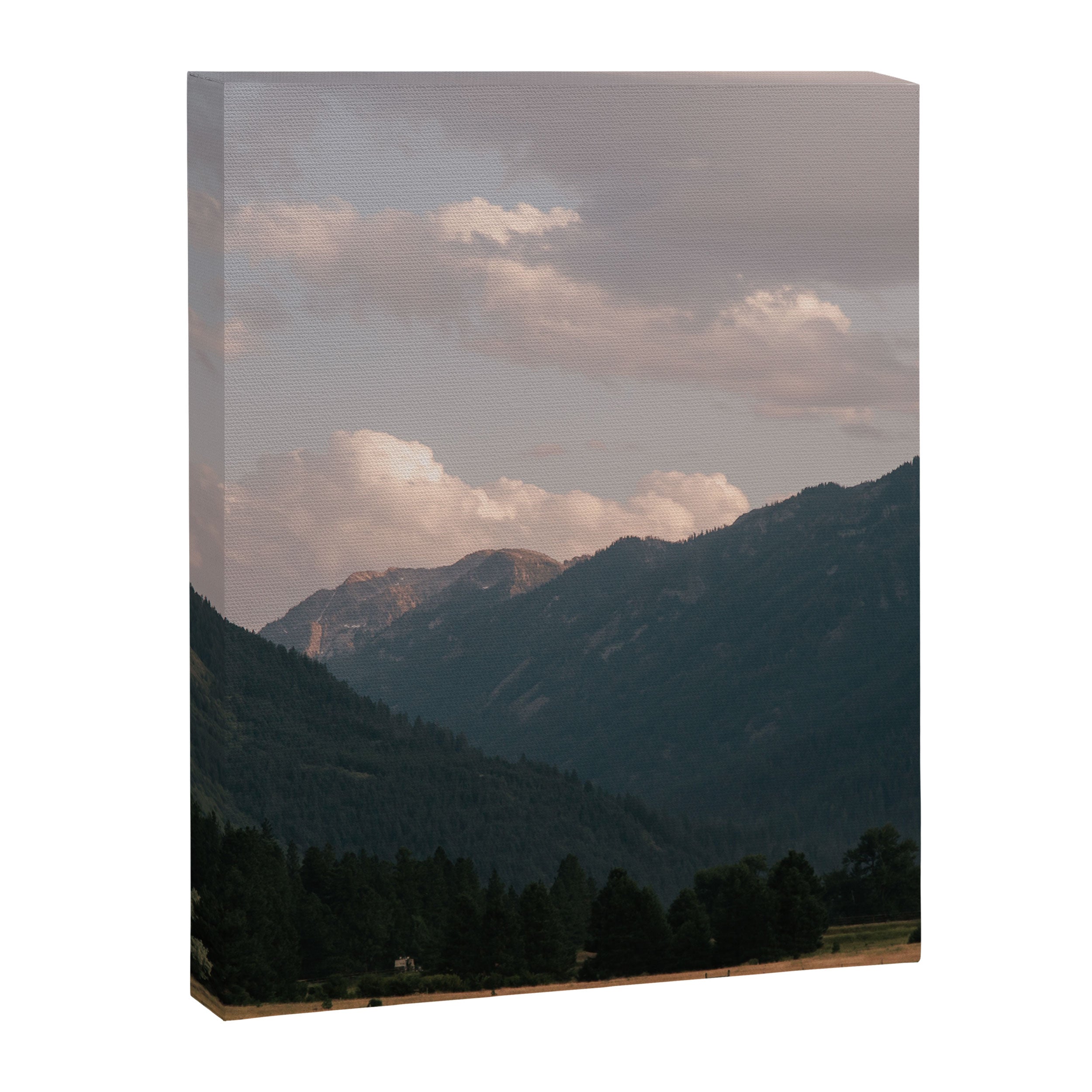 August Canvas Print Gallery Image 6