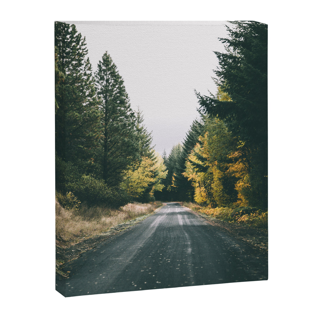 Autumn Drive Canvas Print Gallery Image 6