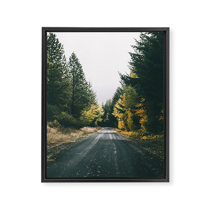Autumn Drive Framed Canvas Print Gallery Image 1