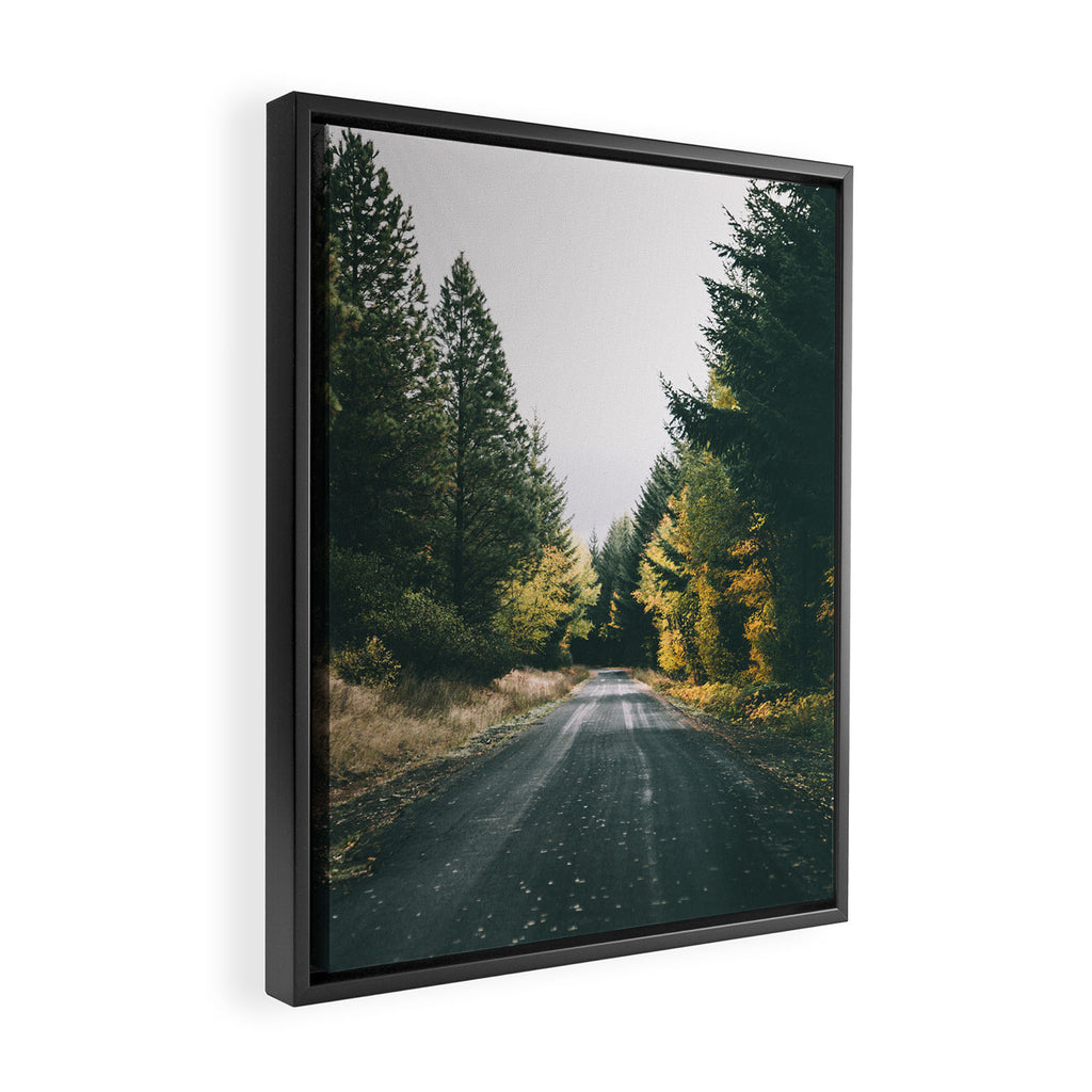 Autumn Drive Framed Canvas Print Gallery Image 2