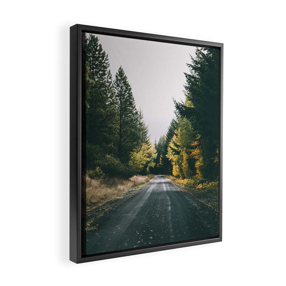 Autumn Drive Framed Canvas Print Gallery Image 2