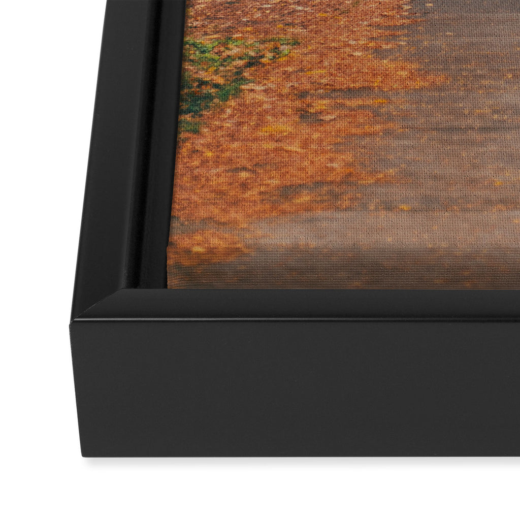 Autumn Sidewalk II Framed Canvas Print Gallery Image 3