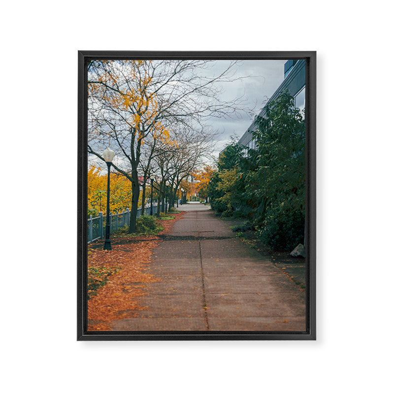 Autumn Sidewalk II Framed Canvas Print Gallery Image 6