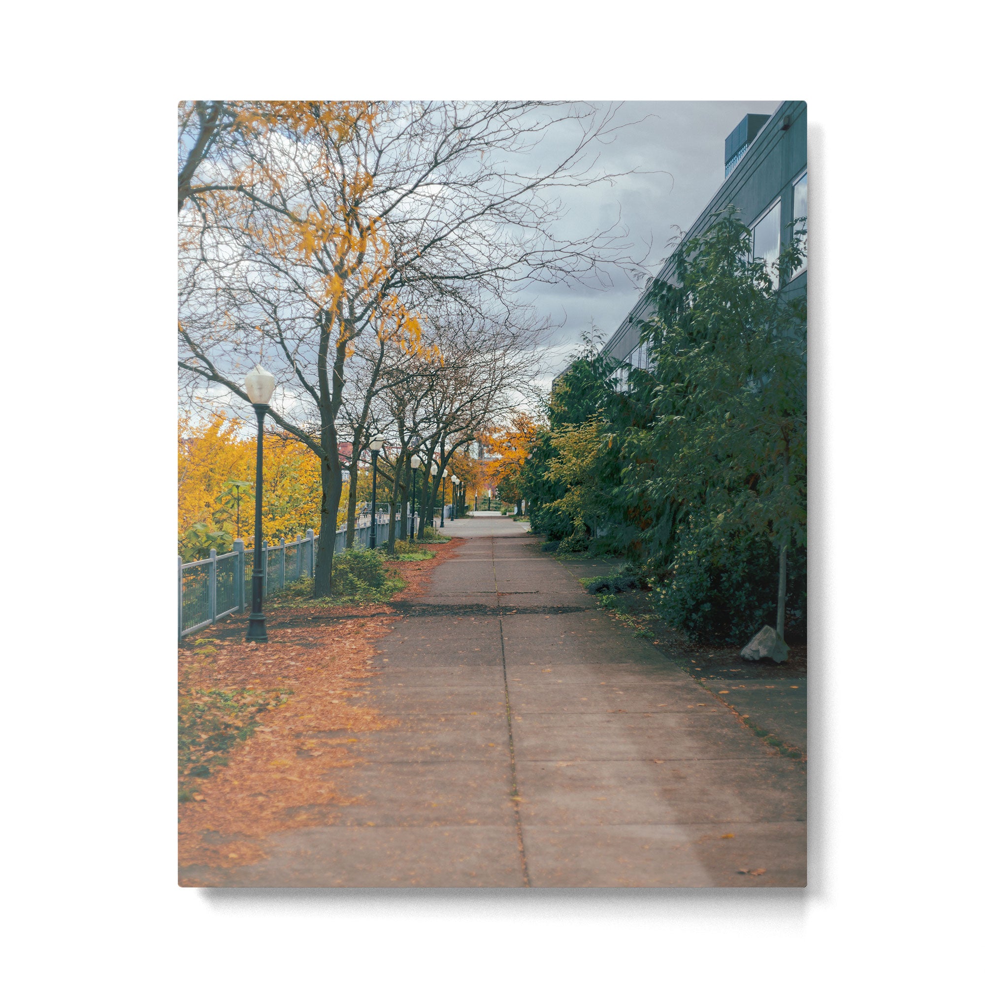 Autumn Sidewalk II Metal Print Gallery Image 4