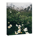 Baby Blooms Canvas Print Gallery Image 6