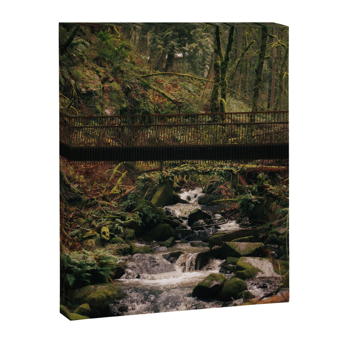 Balch Creek Canvas Print Gallery Image 1