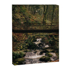 Balch Creek Canvas Print Gallery Image 6
