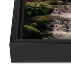 Balch Creek Framed Canvas Print Gallery Image 3