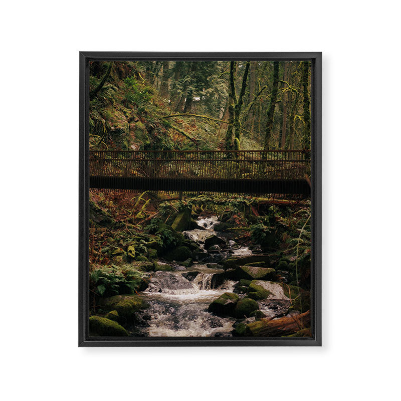 Balch Creek Framed Canvas Print Gallery Image 6