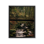 Balch Creek Framed Canvas Print Gallery Image 6