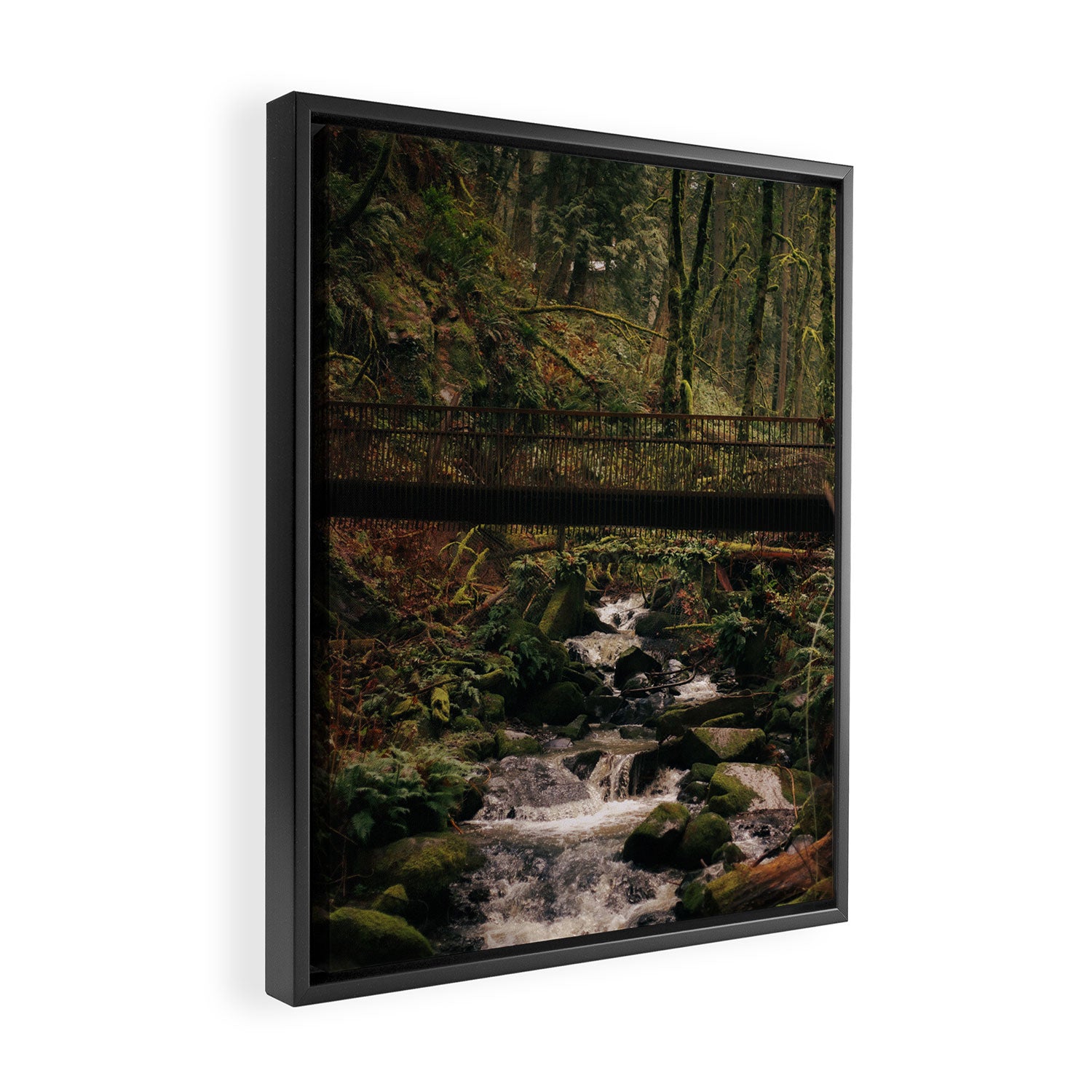 Balch Creek Framed Canvas Print Gallery Image 2