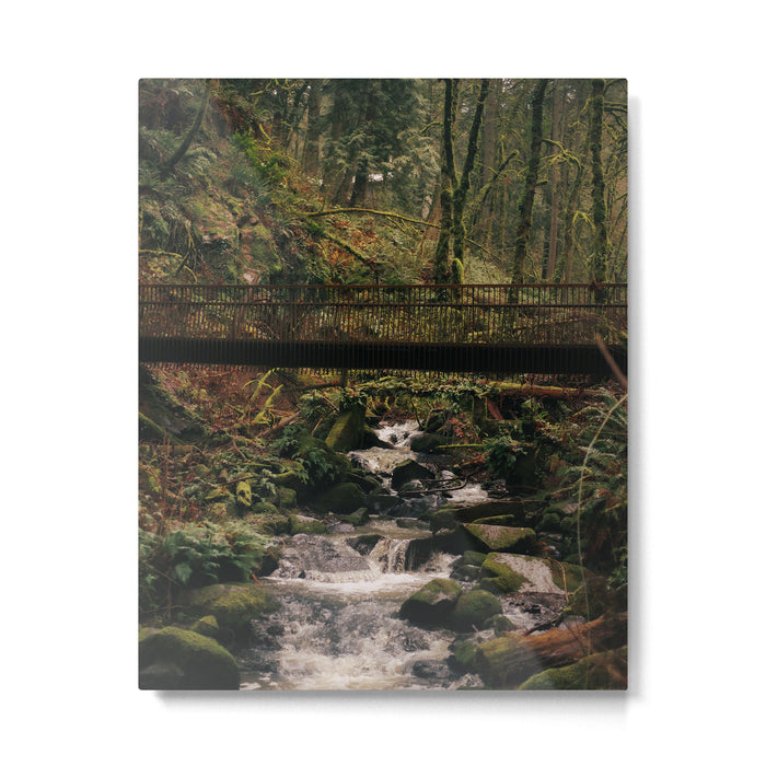 Balch Creek Metal Print Gallery Image 1