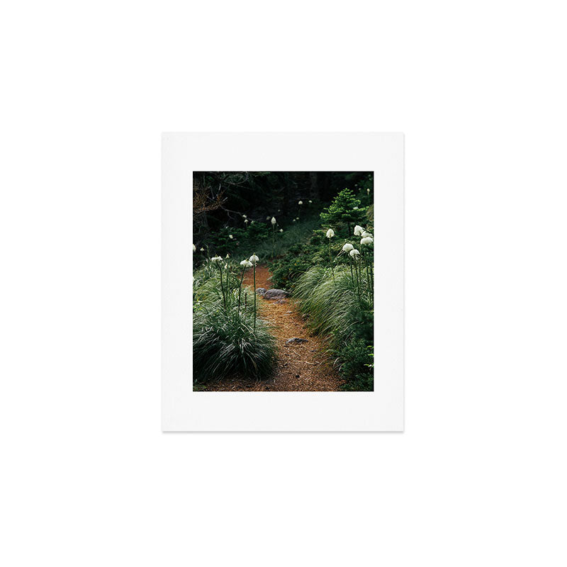 Bear Grass Trail Art Print Gallery Image 1