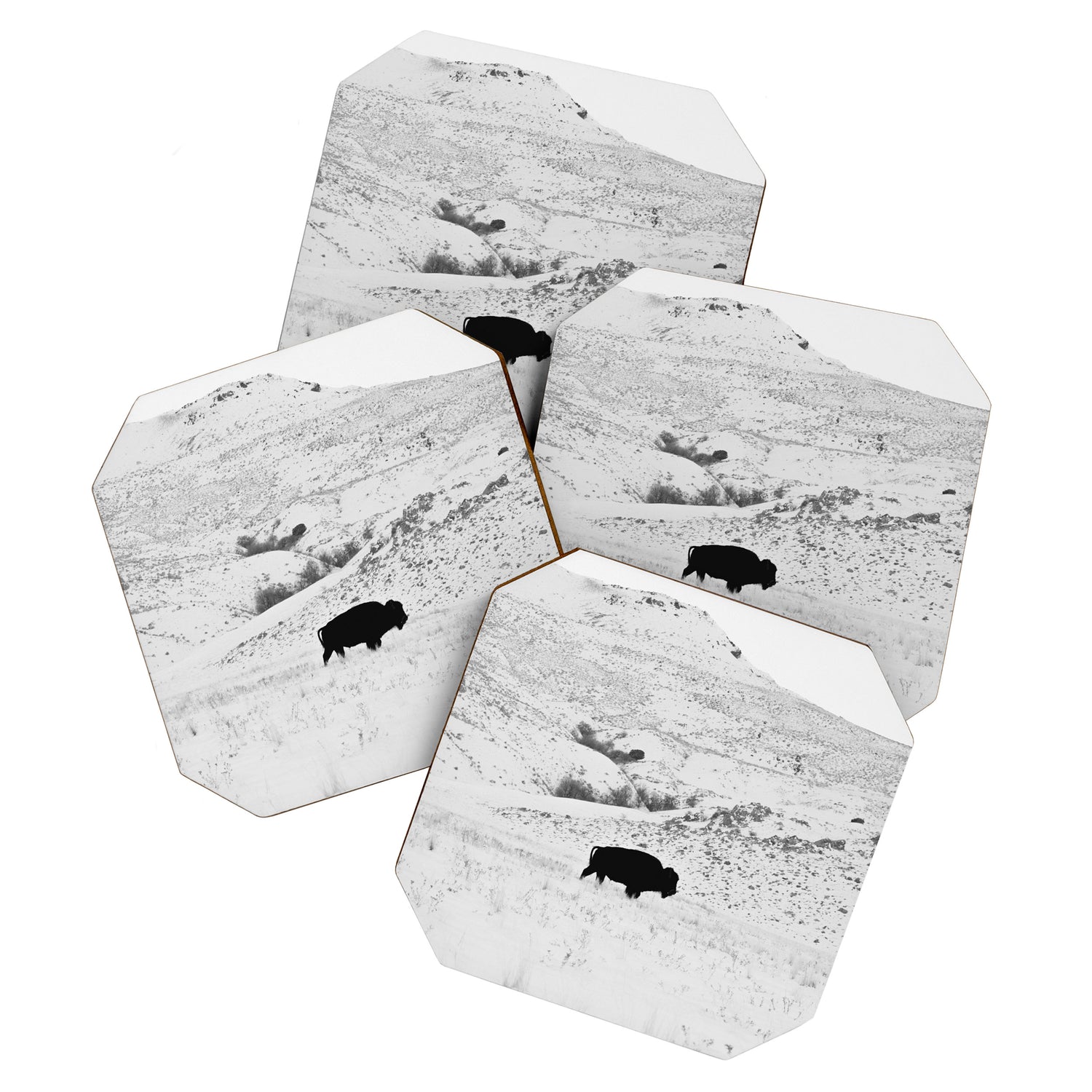 Black and White Bison Coaster Gallery Image 1