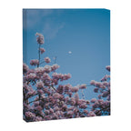 Cherry Blossom Moon Canvas Print Gallery Image 6