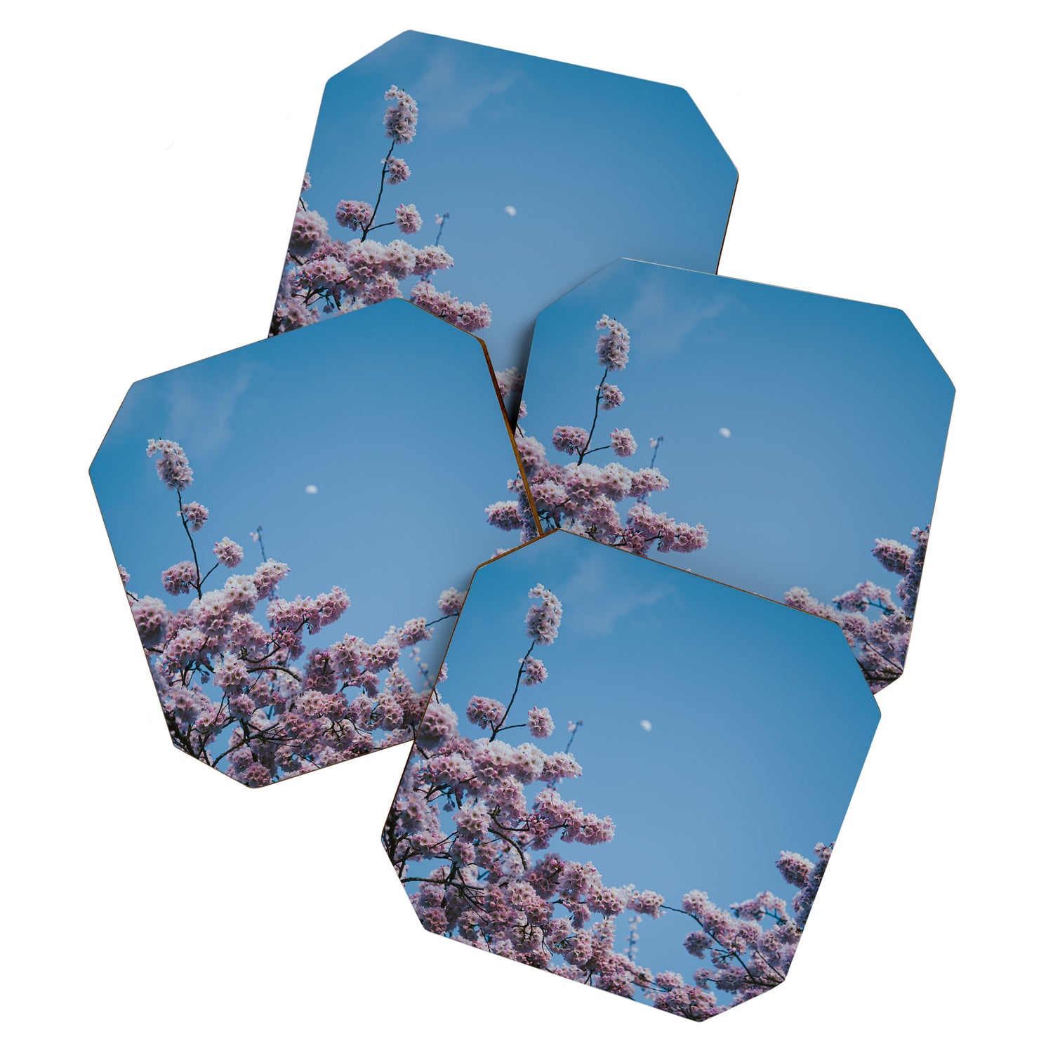 Cherry Blossom Moon Coaster Gallery Image 1