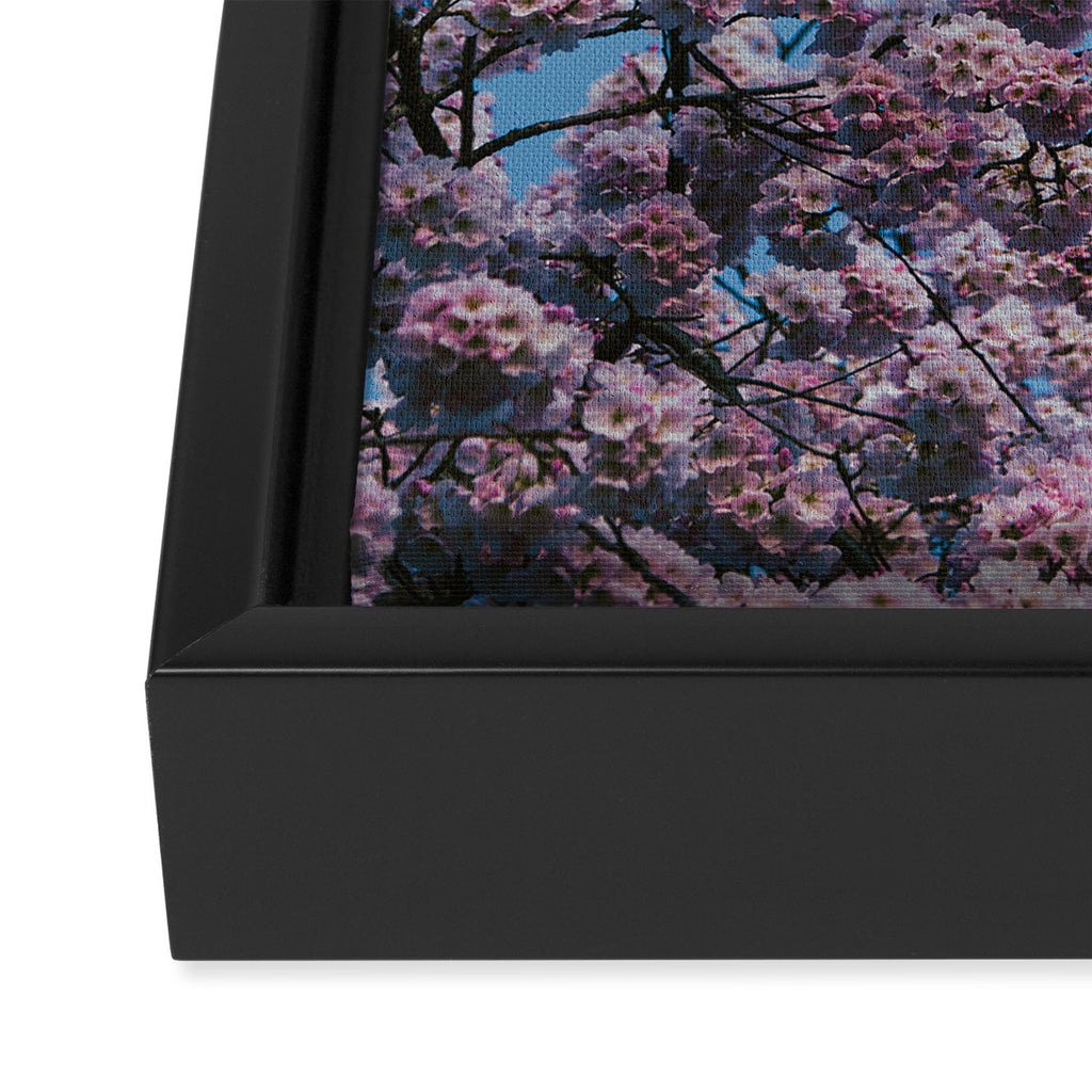 Cherry Blossom Moon Framed Canvas Print Gallery Image 3