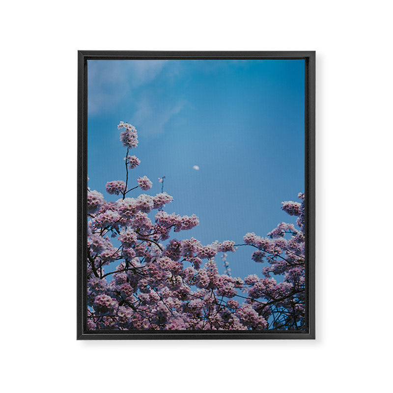 Cherry Blossom Moon Framed Canvas Print Gallery Image 6