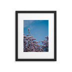 Cherry Blossom Moon Framed Art Print Gallery Image 5