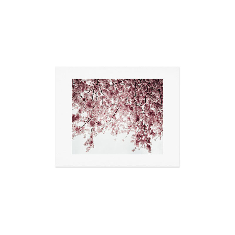 Cherry Blossoms Art Print Gallery Image 1