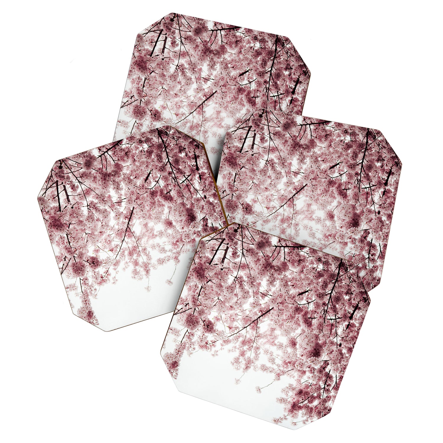 Cherry Blossoms Coaster Gallery Image 1