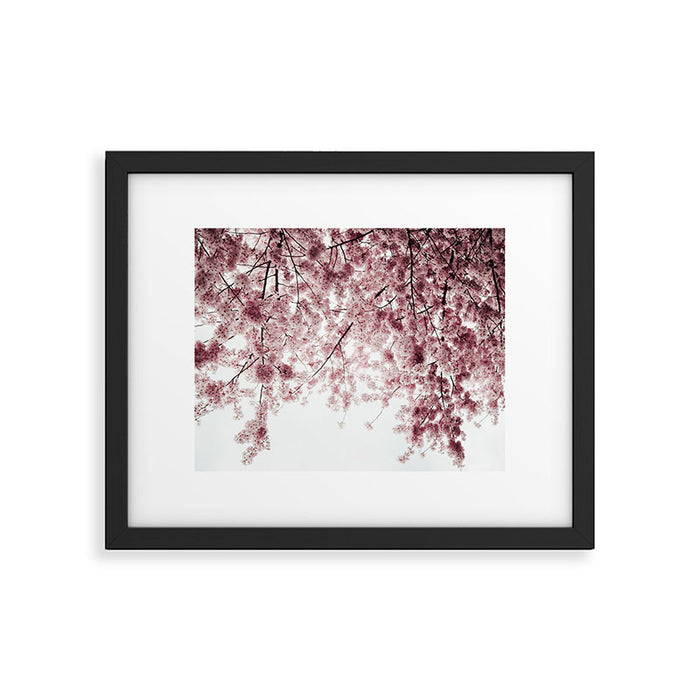 Cherry Blossoms Framed Art Print Gallery Image 1