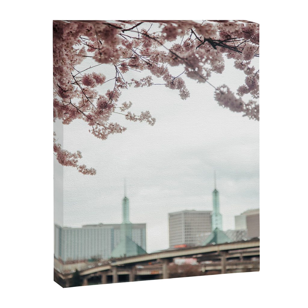 Cherry Blossoms Oregon Convention Center Canvas Print Gallery Image 6