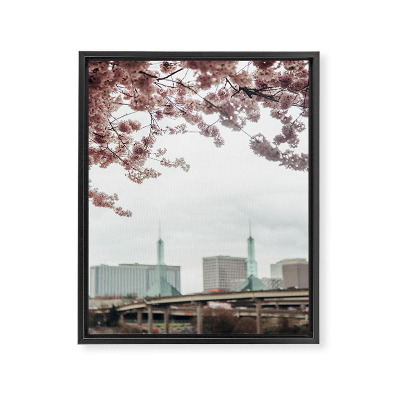 Cherry Blossoms Oregon Convention Center Framed Canvas Print Gallery Image 6