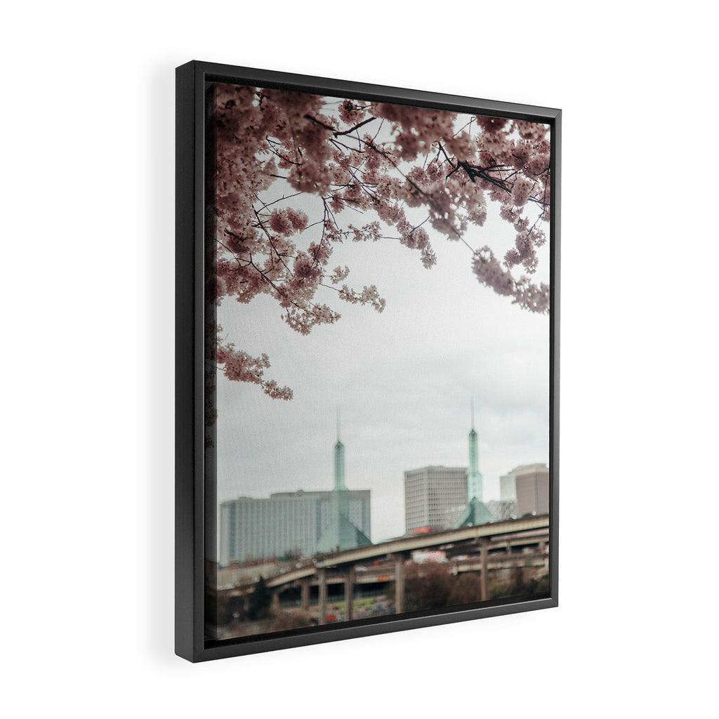 Cherry Blossoms Oregon Convention Center Framed Canvas Print Gallery Image 2