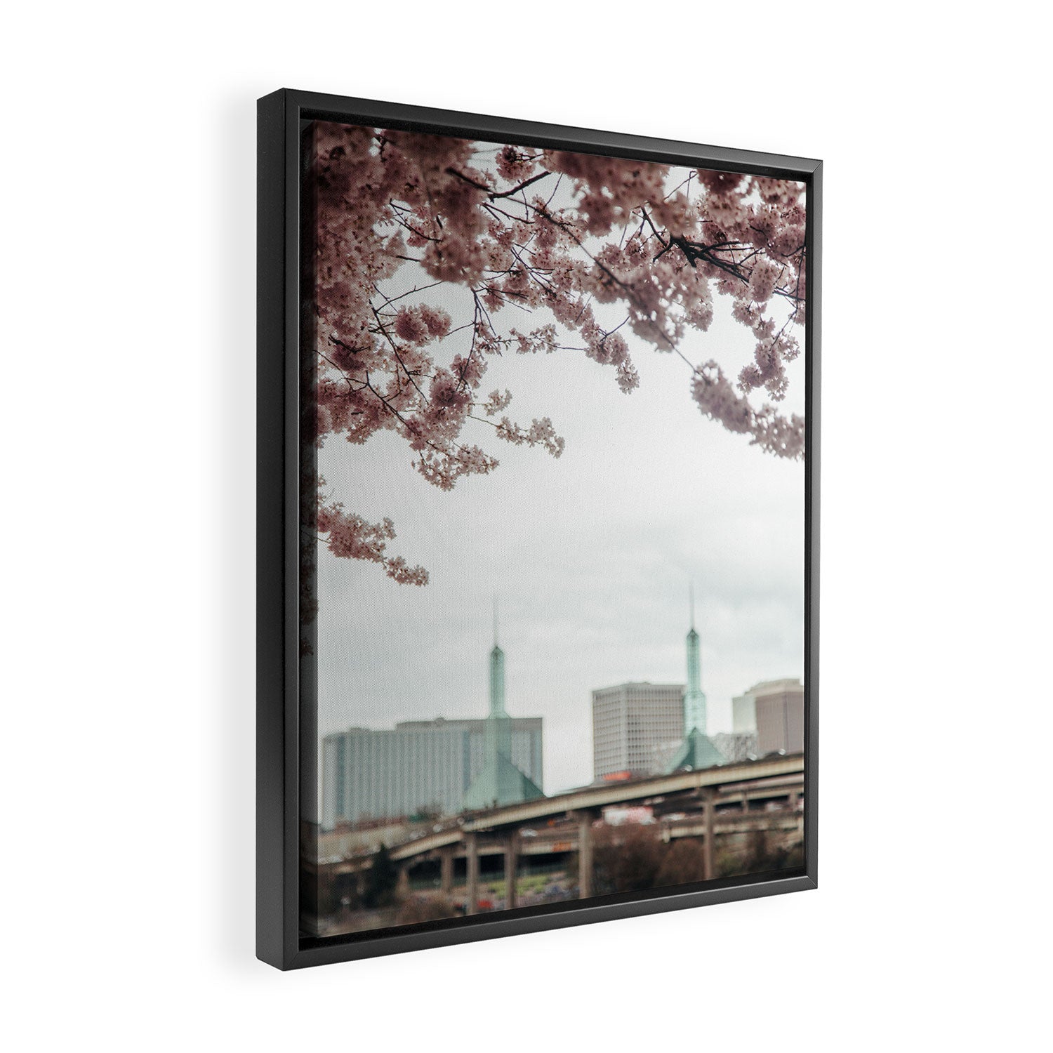 Cherry Blossoms Oregon Convention Center Framed Canvas Print Gallery Image 2