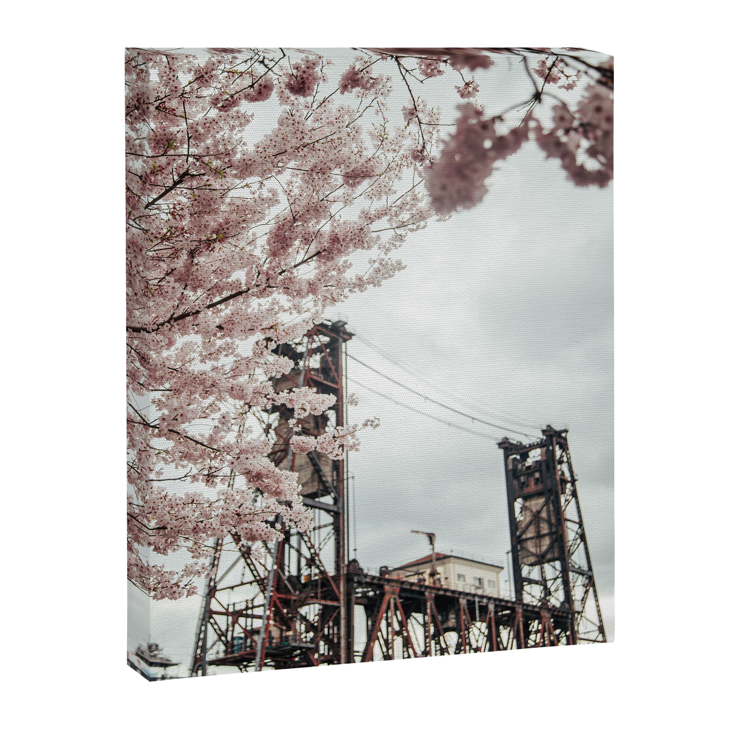 Cherry Blossoms Steel Bridge Portland Canvas Print Gallery Image 6