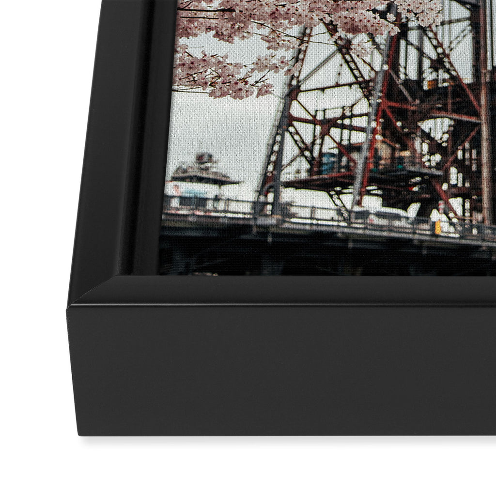Cherry Blossoms Steel Bridge Portland Framed Canvas Print Gallery Image 3