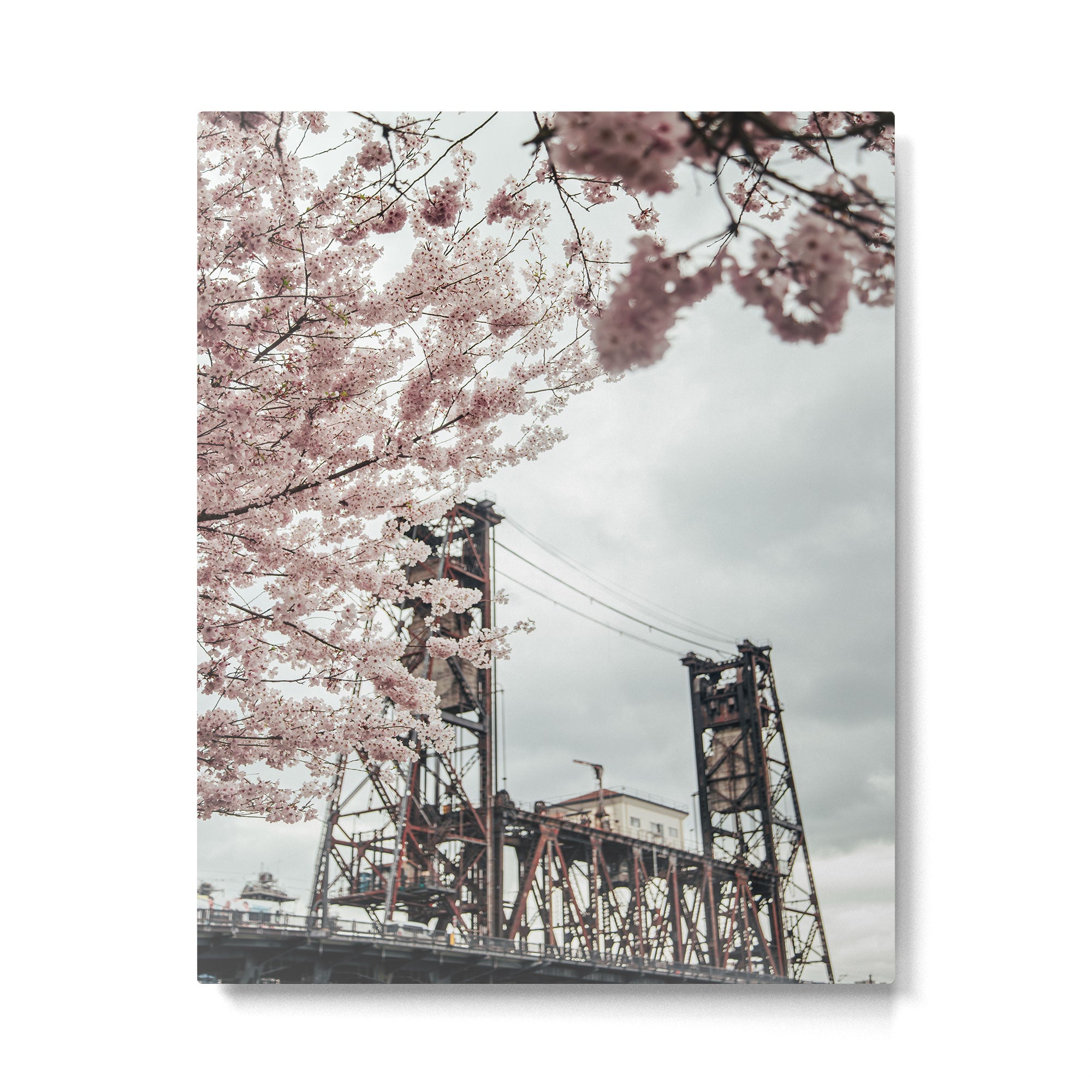 Cherry Blossoms Steel Bridge Portland Metal Print Gallery Image 4