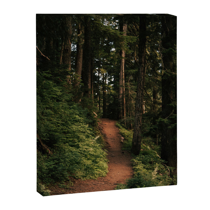 Come With Me II Canvas Print Gallery Image 1