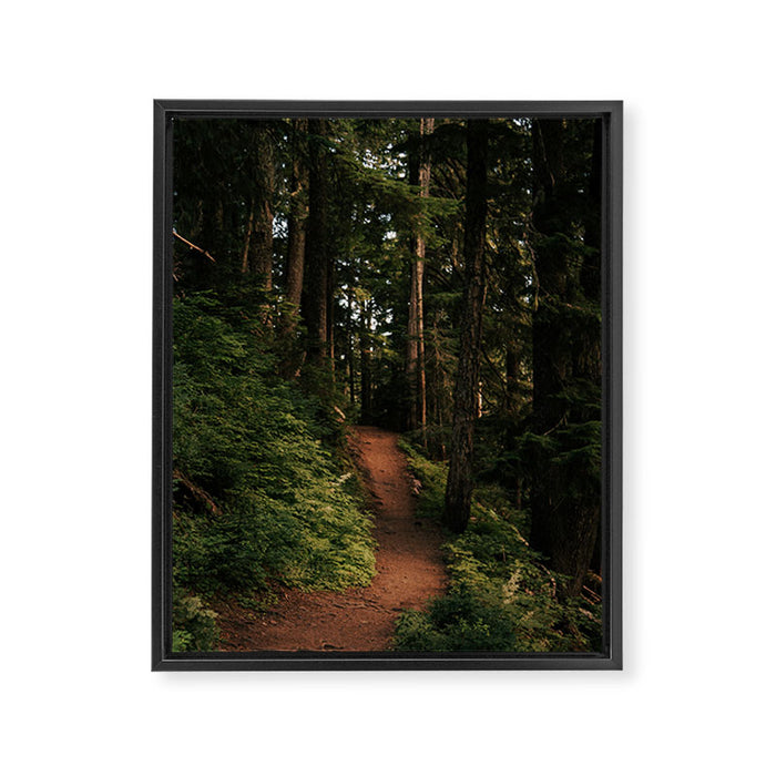 Come With Me II Framed Canvas Print Gallery Image 1