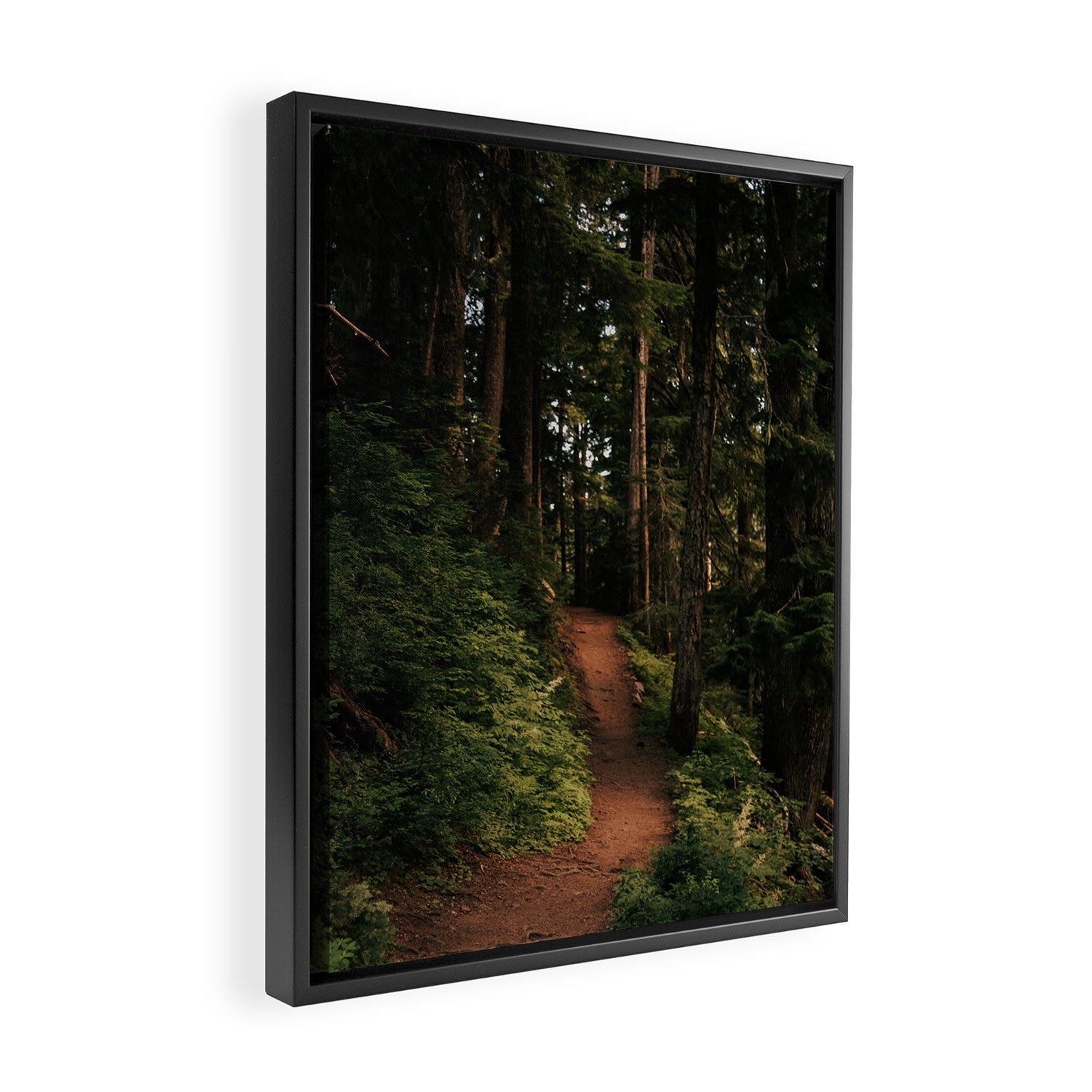 Come With Me II Framed Canvas Print Gallery Image 2
