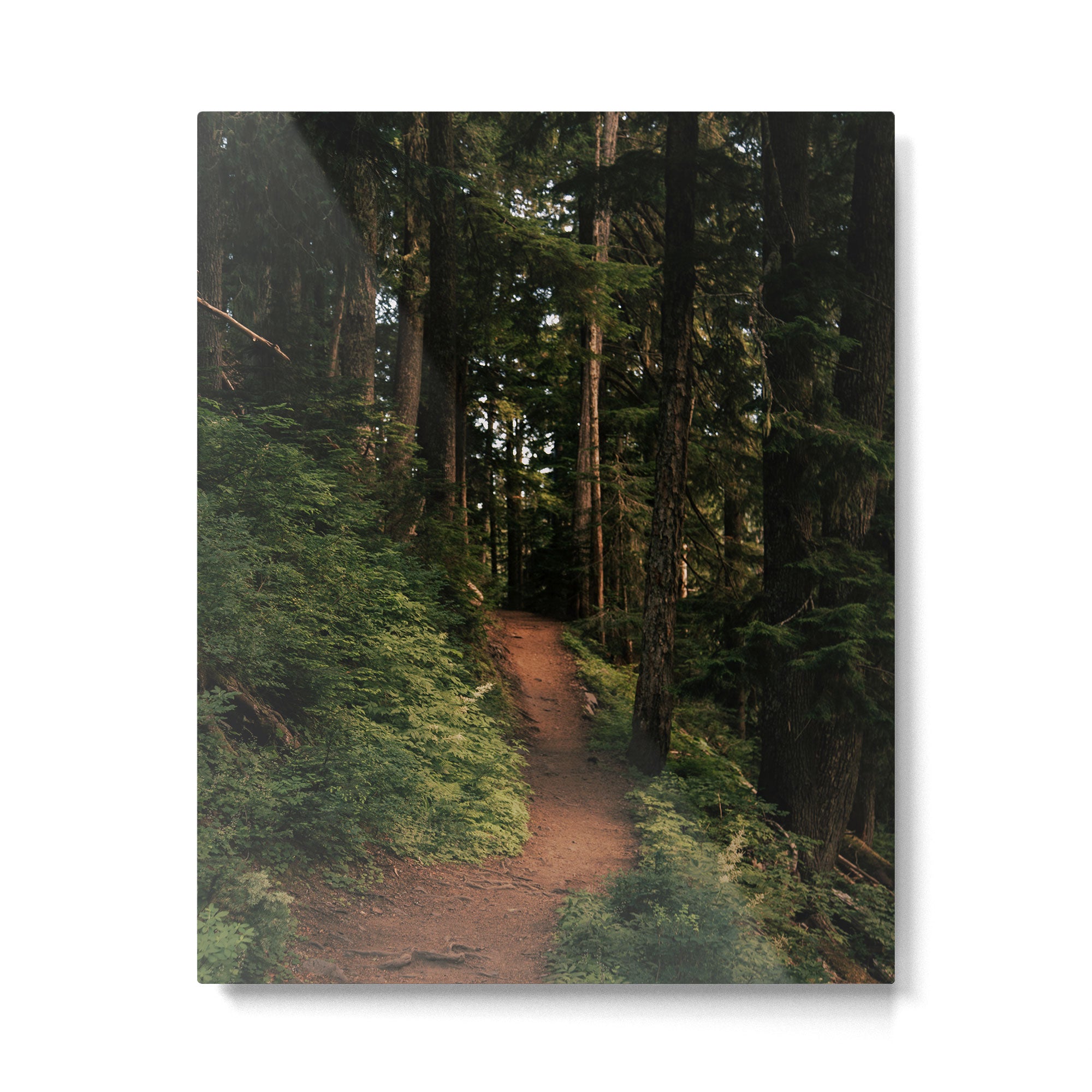 Come With Me II Metal Print Gallery Image 4